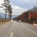 라파안마원 이미지