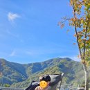 금수문화공원야영장(2) 이미지