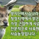지산오리농장 이미지