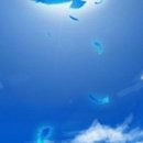 파랑새정원 이미지