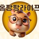 시골풍경 | 서초구 맛집 육회비빔밥 맛집 &#39;태백산 시골풍경&#39; 내돈내산 솔직후기 빨리 가보자!