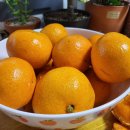 홍순농장 이미지