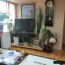 은행식당 이미지