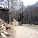 동산스포츠 이미지