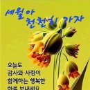 세월아 천천히 가자 이미지