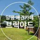 상곡길 | 브릭야드 내돈내산 후기ㅣ양평 애견카페 추천
