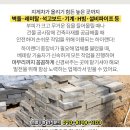 용마보건진료소 네이버블로그