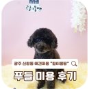 털이몽땅 이미지