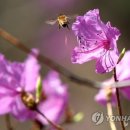 행복의 공간 이미지