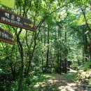 휴양림길 이미지