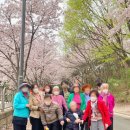 샬롬케어센터 이미지