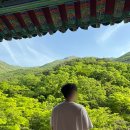 표충사 - 1903 | 밀양 여행 중 제일 좋았던 곳, 표충사 툇마루 후기