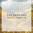 대박헤어 이미지