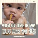 붕붕카닥터 | 돌아기칫솔 추천, 닥터노아 대나무 어린이칫솔과 유아 고불소치약 후기