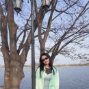 달리는족족 | 햄복한 나날들•••