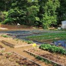 대원농장 이미지