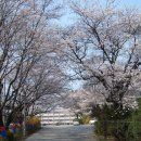 경성고등학교 이미지