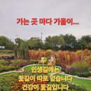 산은 아니고 인천대공원~~~~(원) 이미지