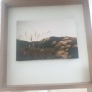 뿔들의 섬 이미지