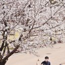안성맞춤랜드공원16 이미지