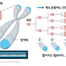 홈케어스토리 - 북구 하원지2길 5-2 | 홈케어스토리
