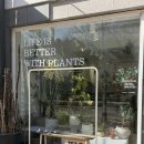 소유 | [안양] 상견례 선물, 첫인사 선물 추천 풀소유 내돈내산 후기