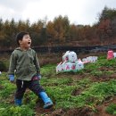 영화축산 이미지