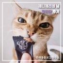 산수유동물병원 | 입맛 까다로운 까탈 고양이도 잘 먹는 영양 츄르 | 묘진단 솔직 후기