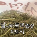 달나라 토끼농장 이미지