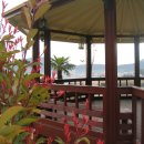 아지랑냉이랑 이미지