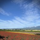 국철농장 이미지