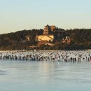 이화원(야외) 이미지