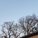 서호장여관 네이버블로그