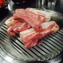 한라도니 이미지