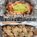 찌웅이네숯불두마리치킨울산 | 양산 범어리치킨 찌웅이네숯불두마리치킨 숯불소금구이 포장 후기