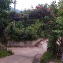 오봉농장 이미지