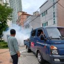 괴정1동-3 이미지