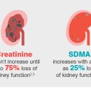 해옴동물병원 이미지