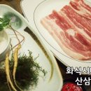 화석시대흑석점 이미지
