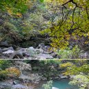 제27회 포천 산정호수 명성산 억새꽃 축제 | 포천 여행 관광지 산정호수 둘레길 명성산 등산 코스 계곡 포천 억새꽃축제
