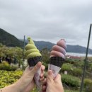 마누라식당 | [일본 여행 4일차] 후지산 버스 당일 투어 내돈 내산 솔직 후기 그리고 꿀팁