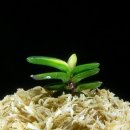 후암농장 이미지