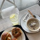 깡촌강쥐 | 제주제주 -3 (런던베이글뮤지엄제주 / 목장카페 밭디 승마체험 / 2010제주상춘재 / 용두암 )