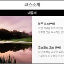알프스대영 골프빌리지 이미지