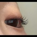 니어앤디어 이미지