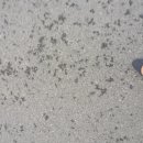 (주)토탈소프트뱅크 이미지