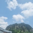 탄탄한부동산공인중개사사무소 이미지