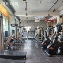 피티데이 이미지