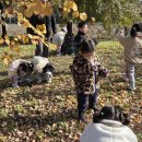 초록샘어린이집 이미지