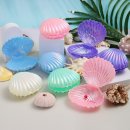 레인보우조개 이미지